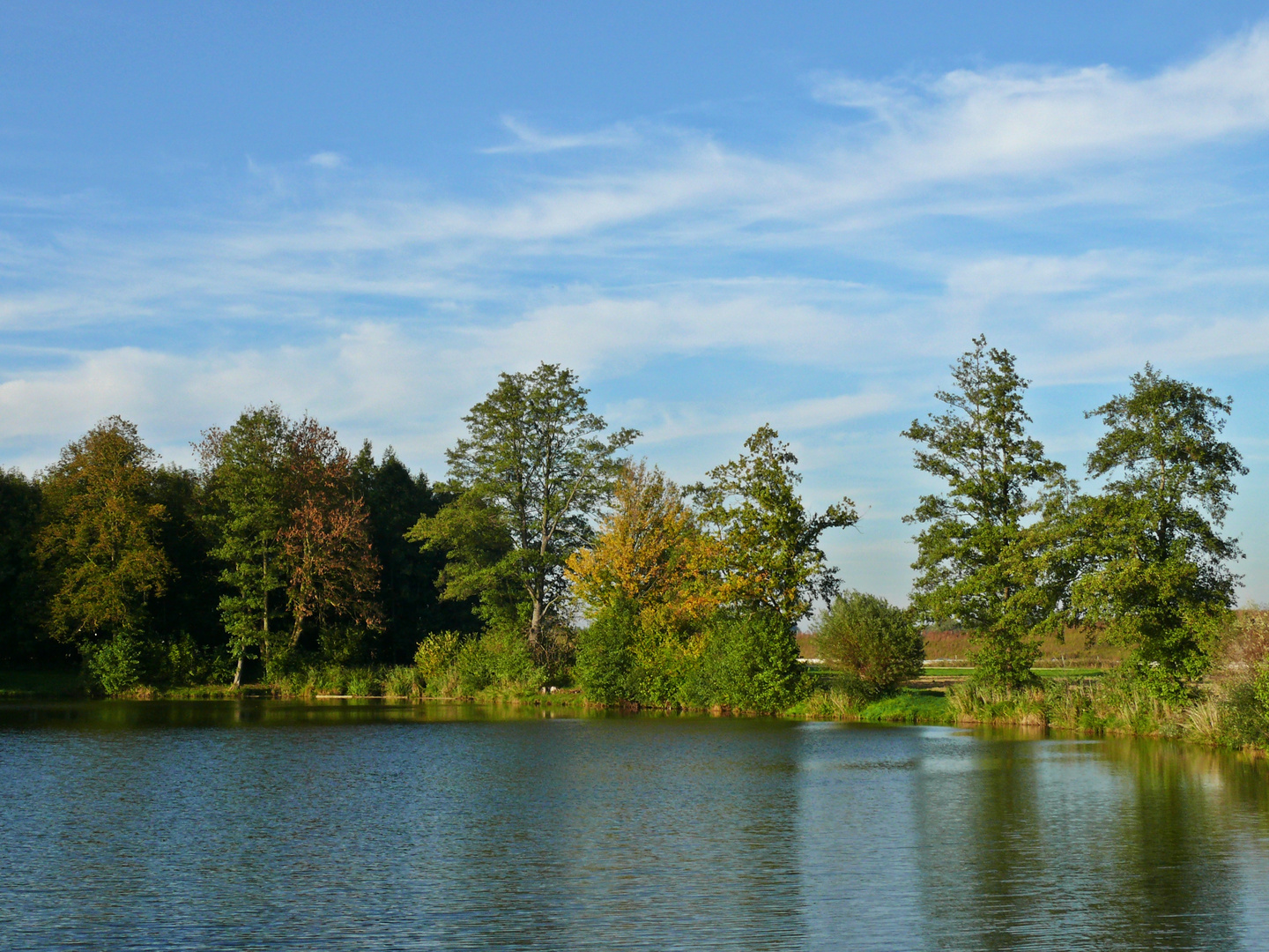 Schöner Herbst