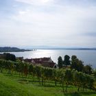 schöner Herbst am Bodensee 2