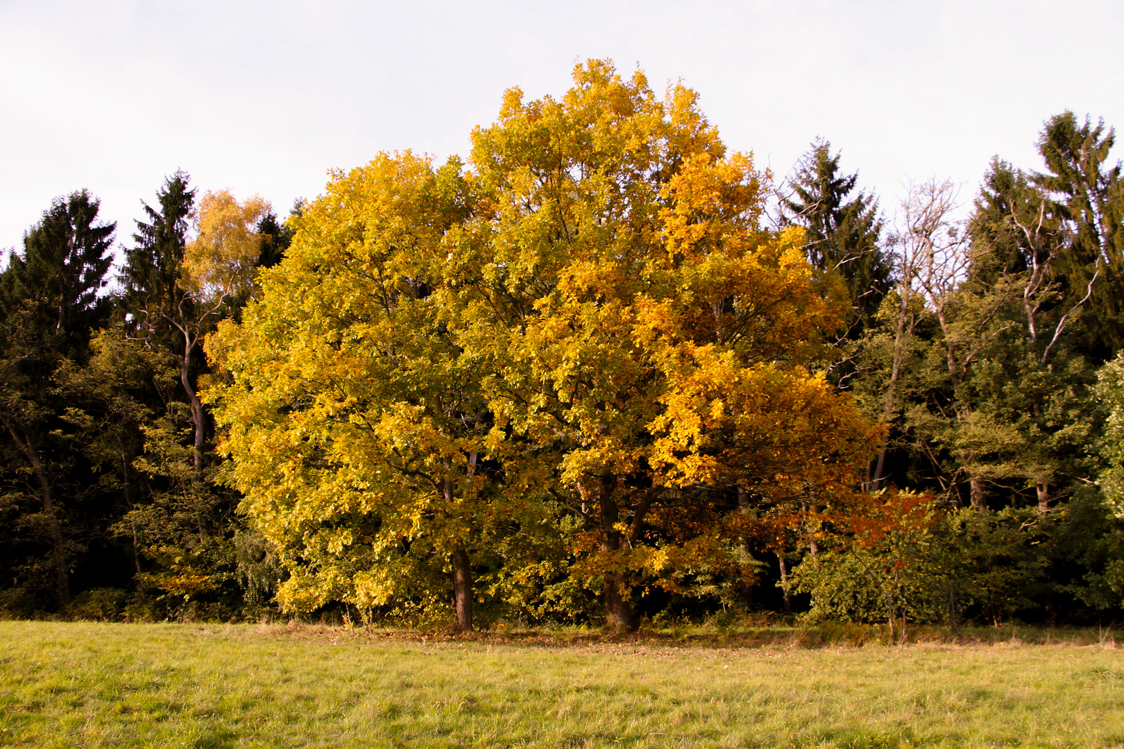 schöner Herbst