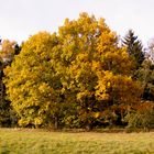 schöner Herbst