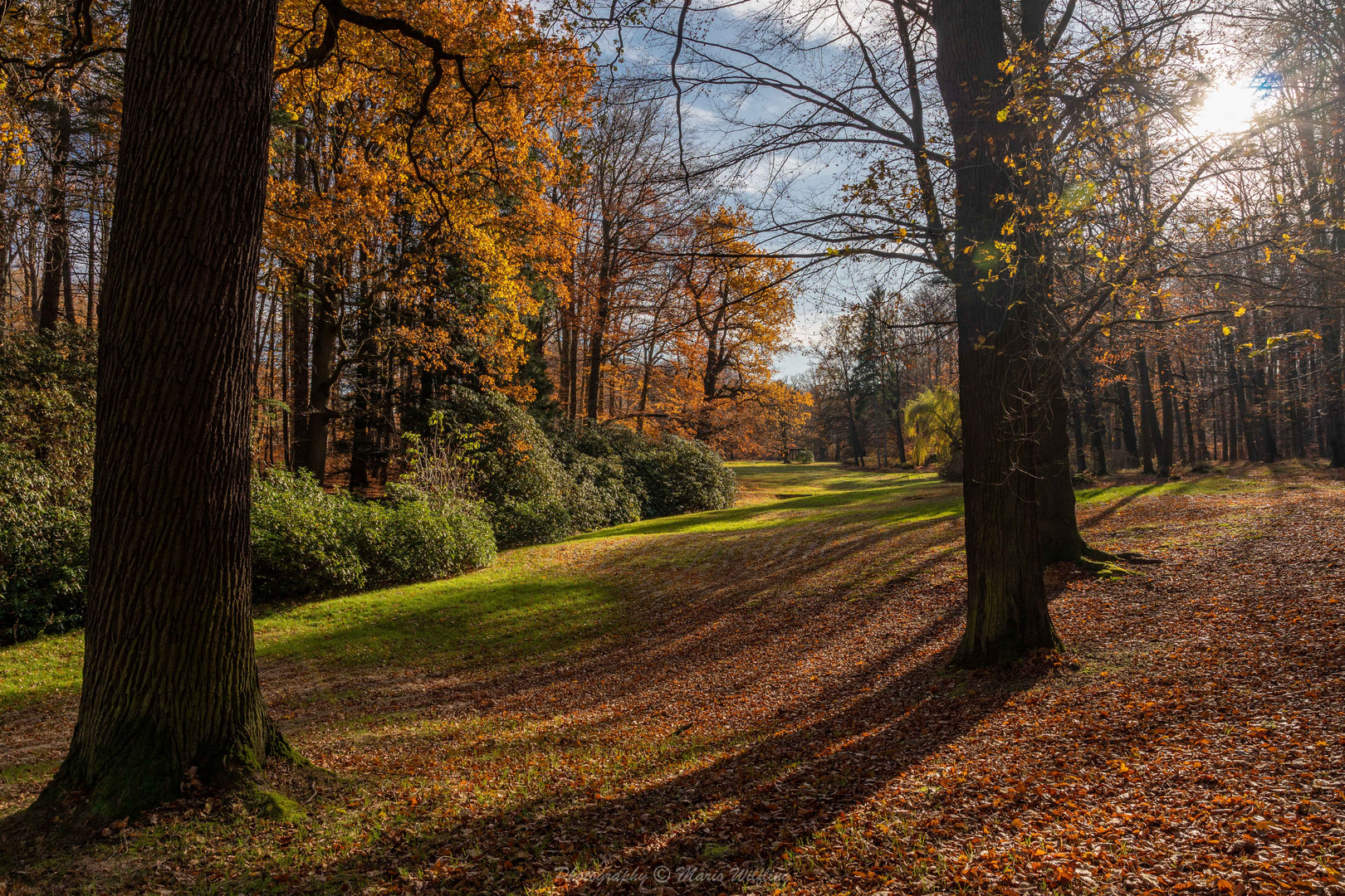 Schöner Herbst