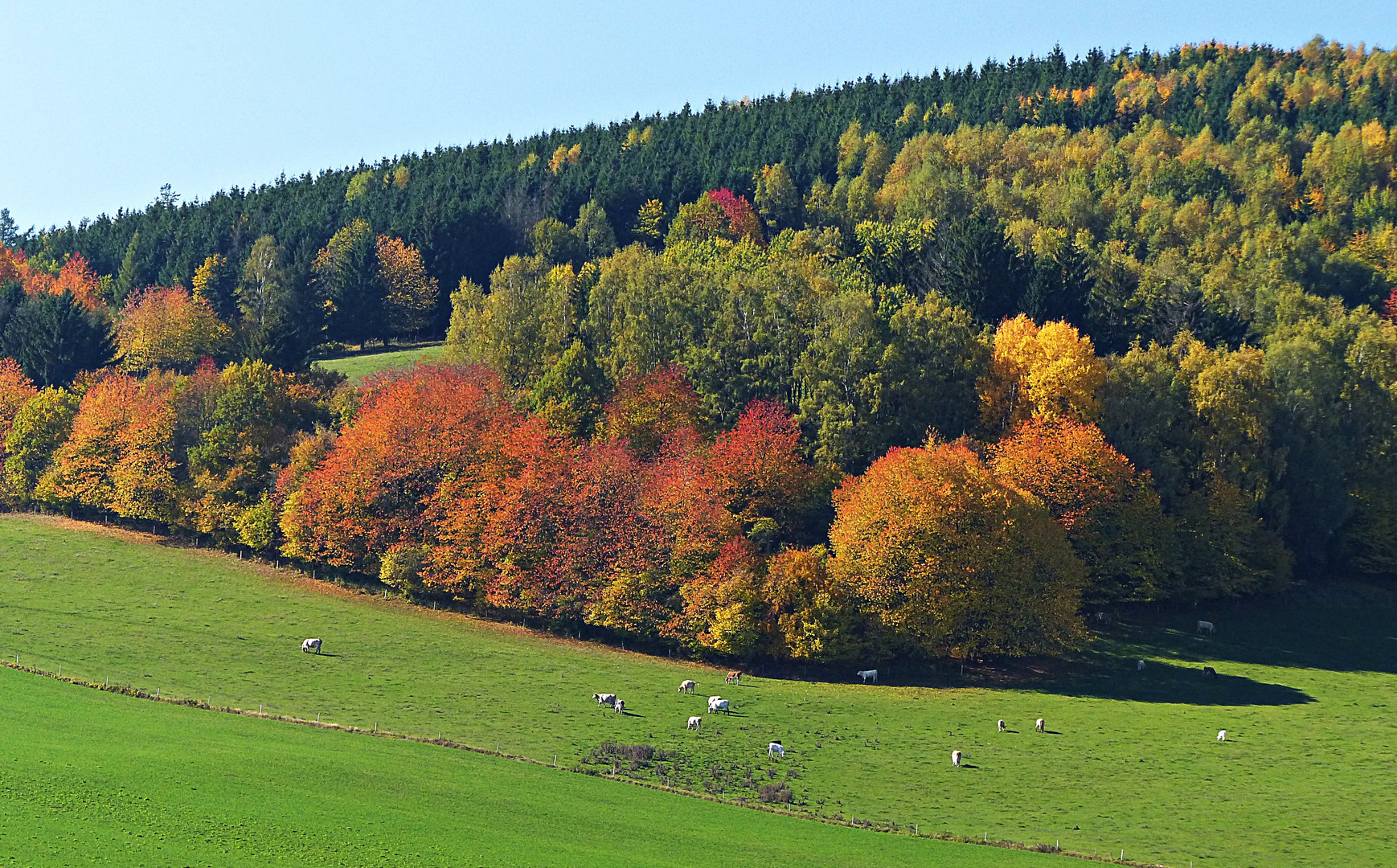 Schöner Herbst