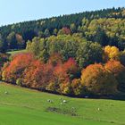 Schöner Herbst