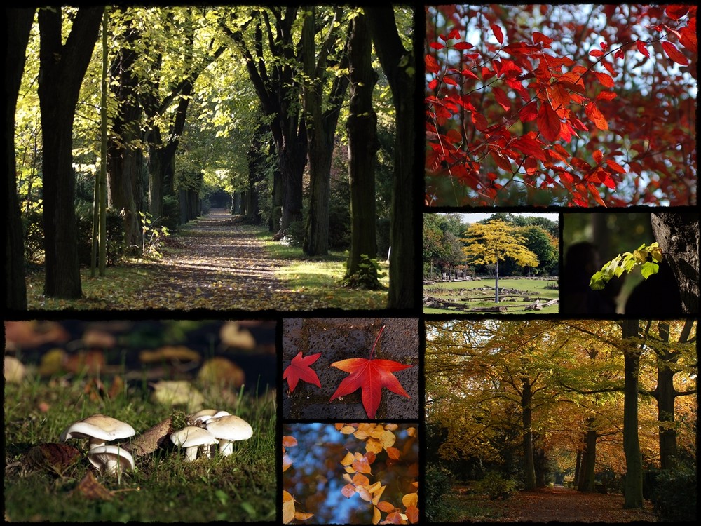 Schöner Herbst