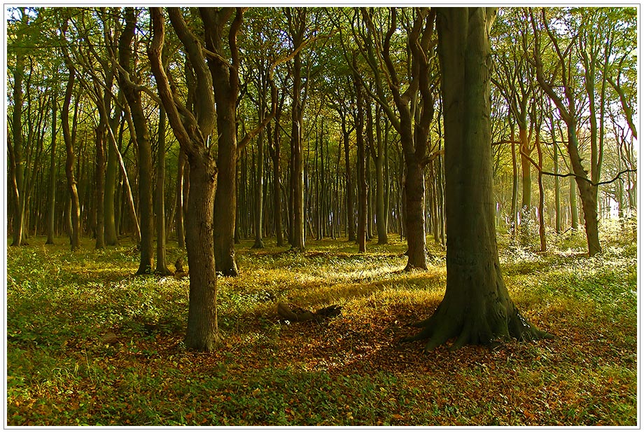 schöner Herbst...