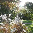 Schöner Herbst