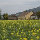 SCHÖNER HERBST