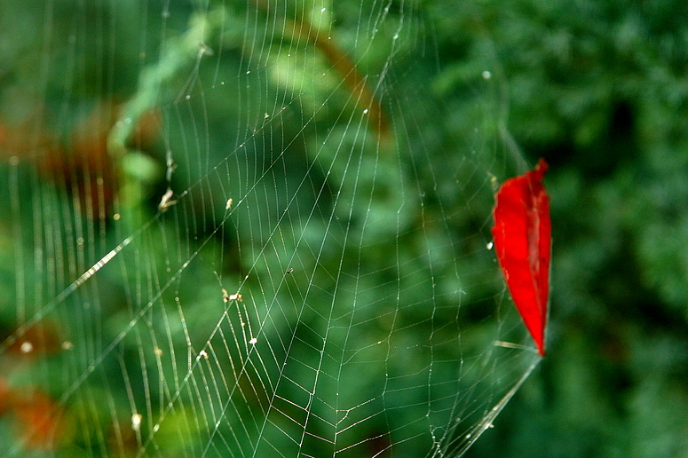 schöner Herbst