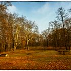 schöner Herbst