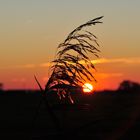 Schöner Herbst Sonnenuntergang