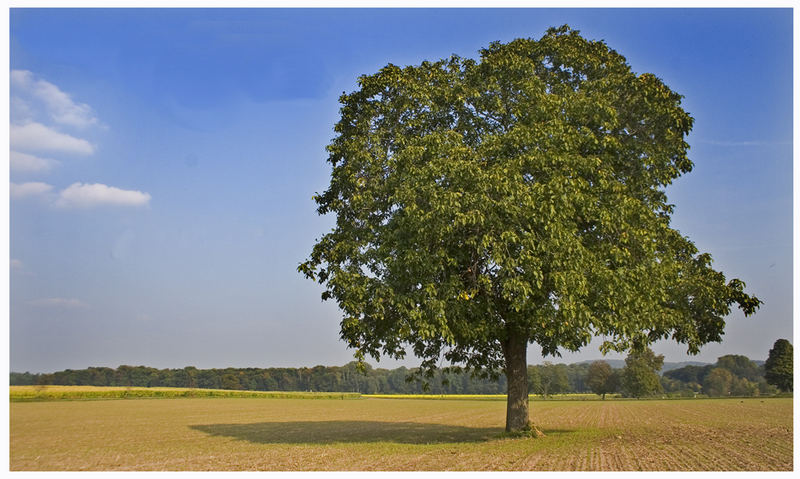 schöner Herbstabend