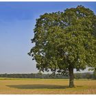 schöner Herbstabend