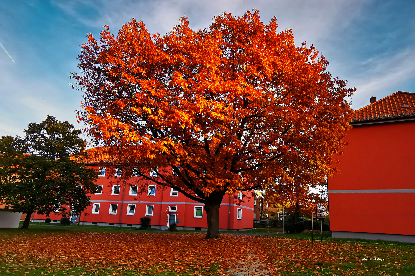 @schöner Herbstbaum