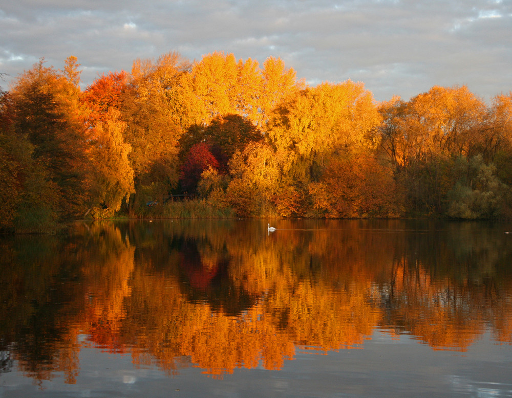 Herbstmorgen Bilder: Zeichne deinen eigenen bunten Morgen!