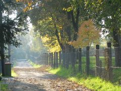 Schöner Herbsttag