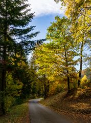 Schöner Herbsttag 1