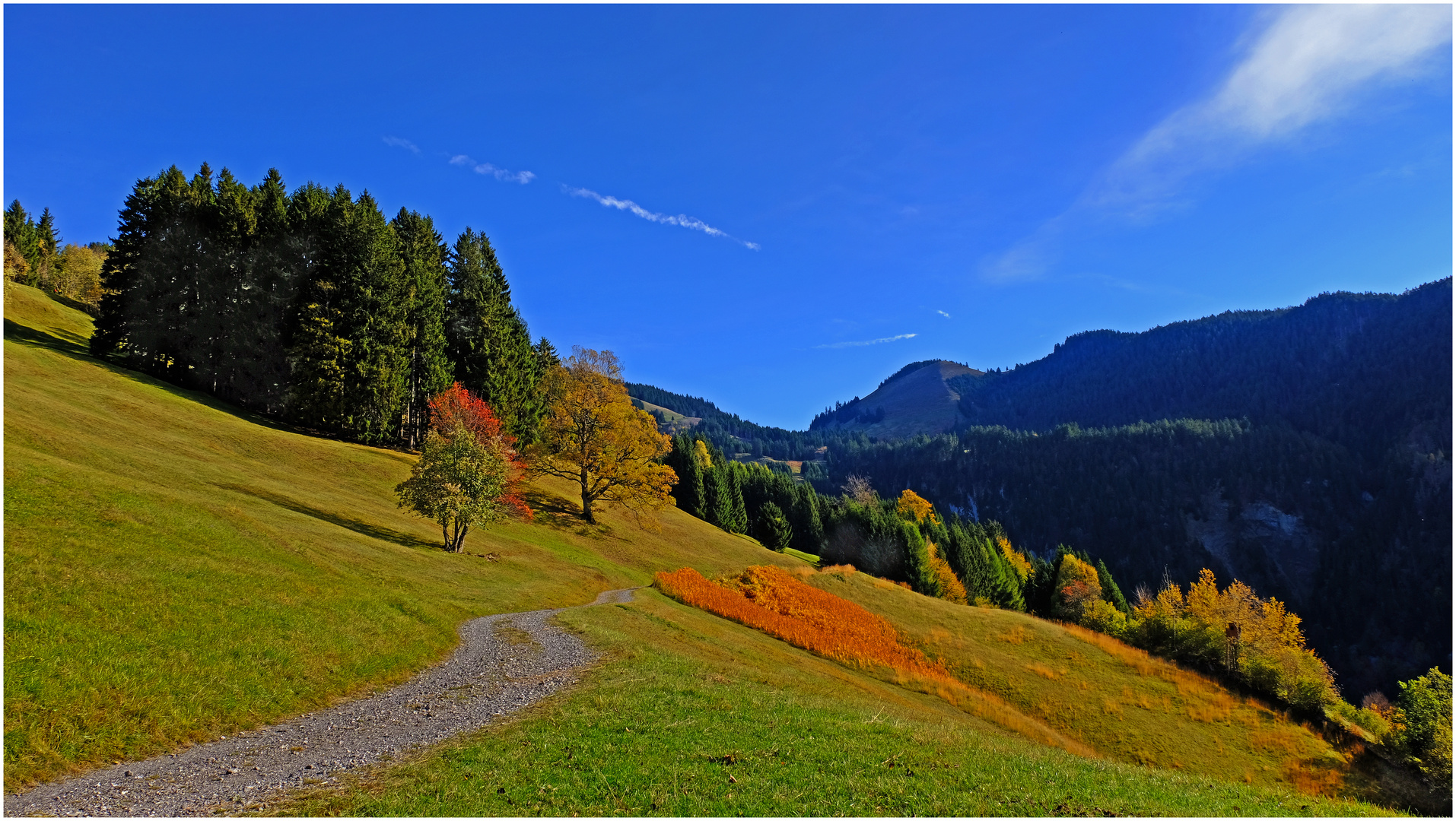 Schöner Herbsttag 1