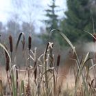 schöner Herbsttag