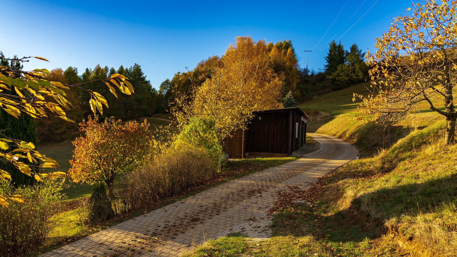 Schöner Herbsttag 2