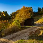 Schöner Herbsttag 2