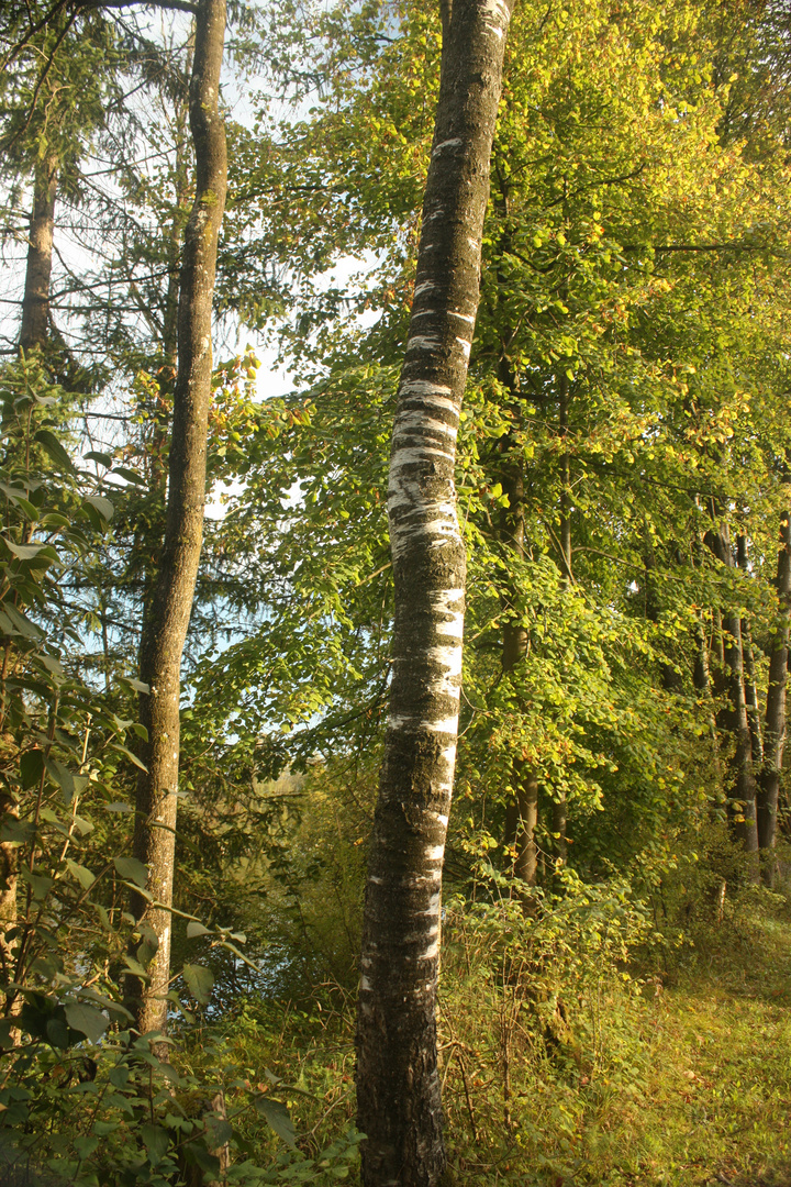 Schöner Herbsttag