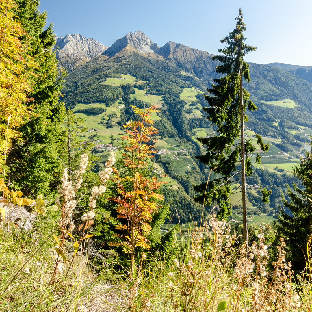 schöner Herbsttag