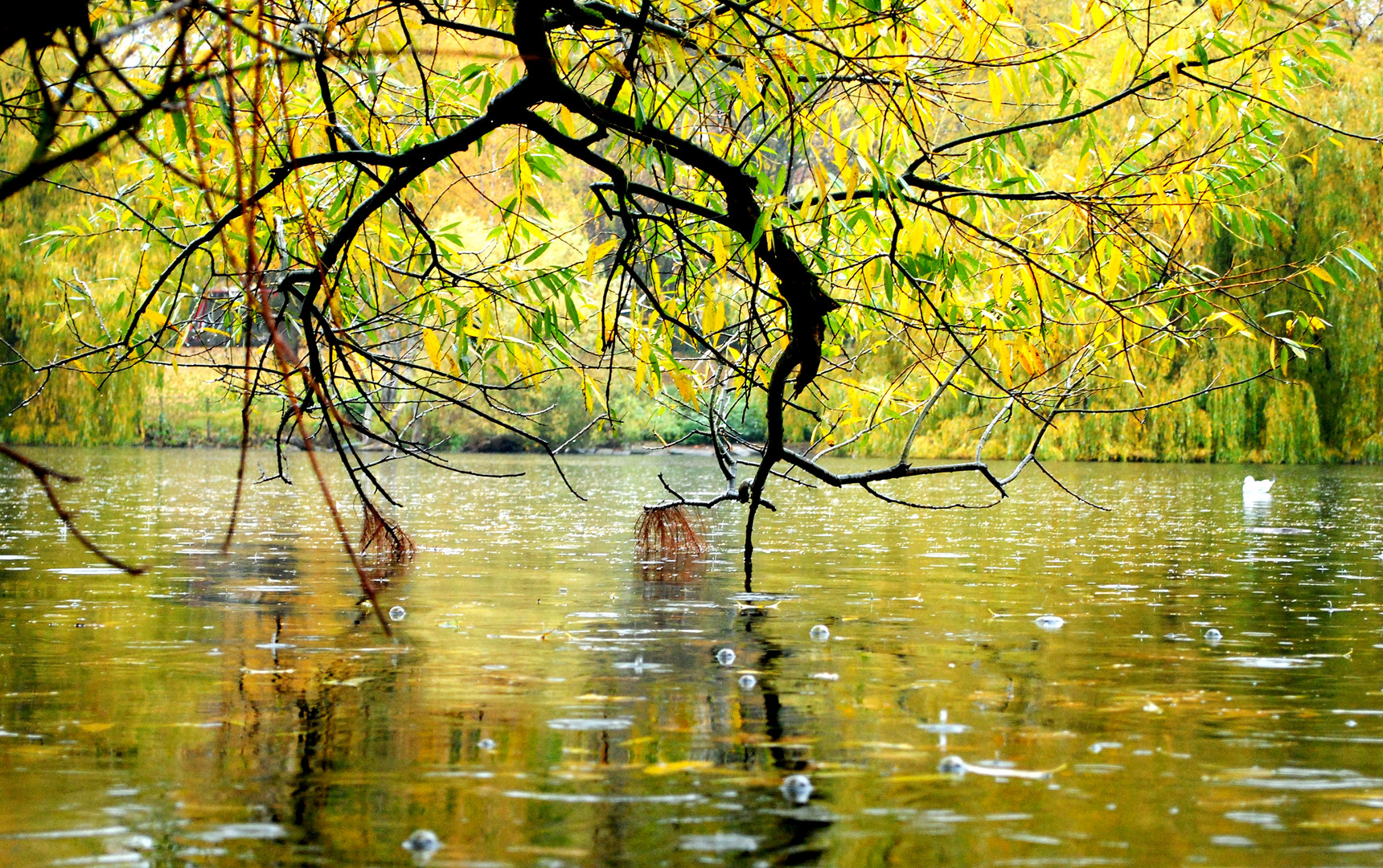 Schöner Herbsttag