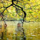 Schöner Herbsttag