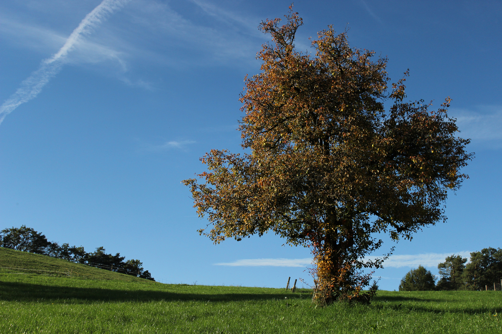 Schöner Herbsttag