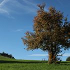 Schöner Herbsttag