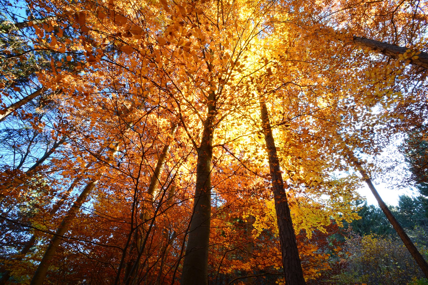 schöner Herbsttag Foto & Bild jahreszeiten, herbst, natur Bilder auf