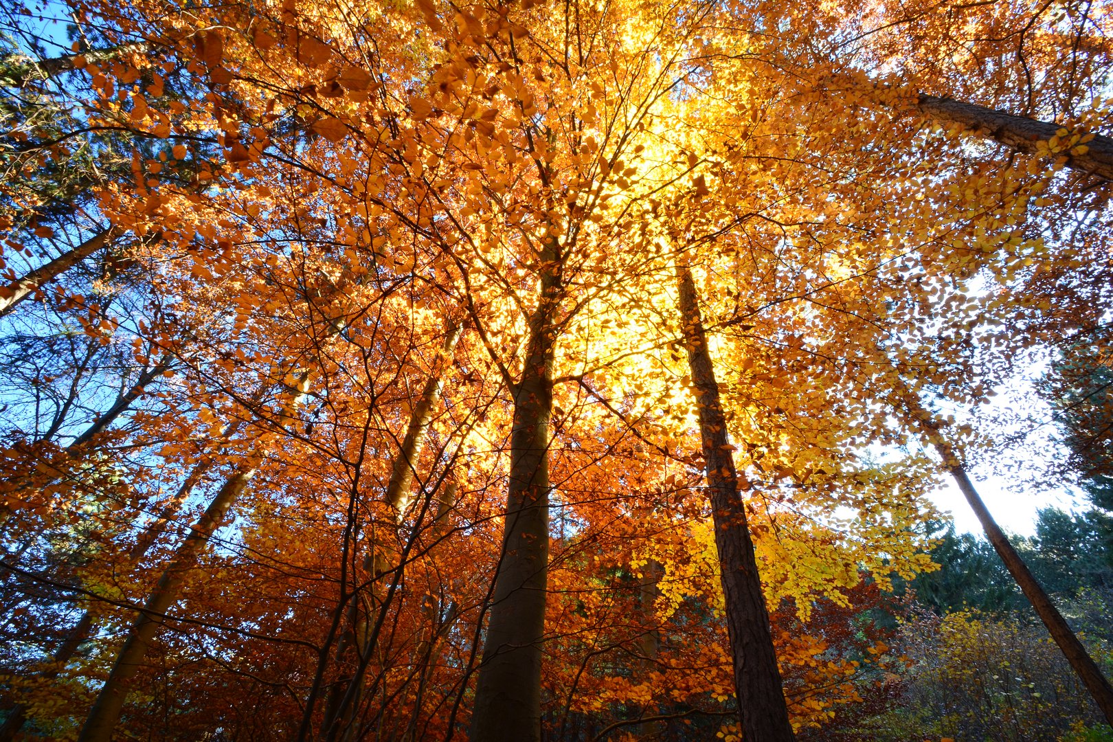 schöner Herbsttag