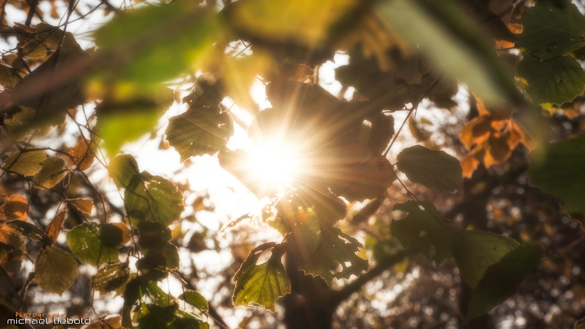 Schöner Herbsttag