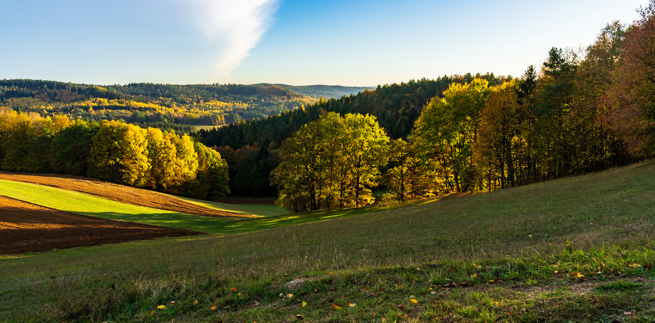 Schöner Herbsttag 5