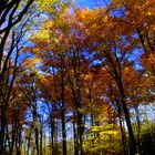 Schöner Herbsttag