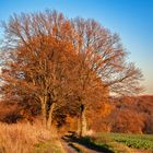 Schöner Herbsttag am Haarstrang...