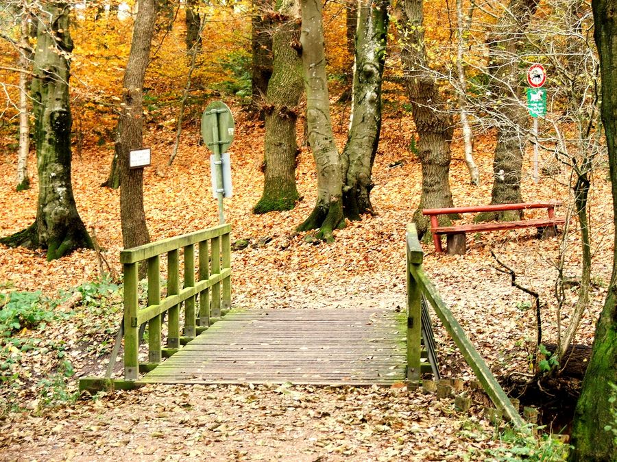 .....schöner Herbsttag