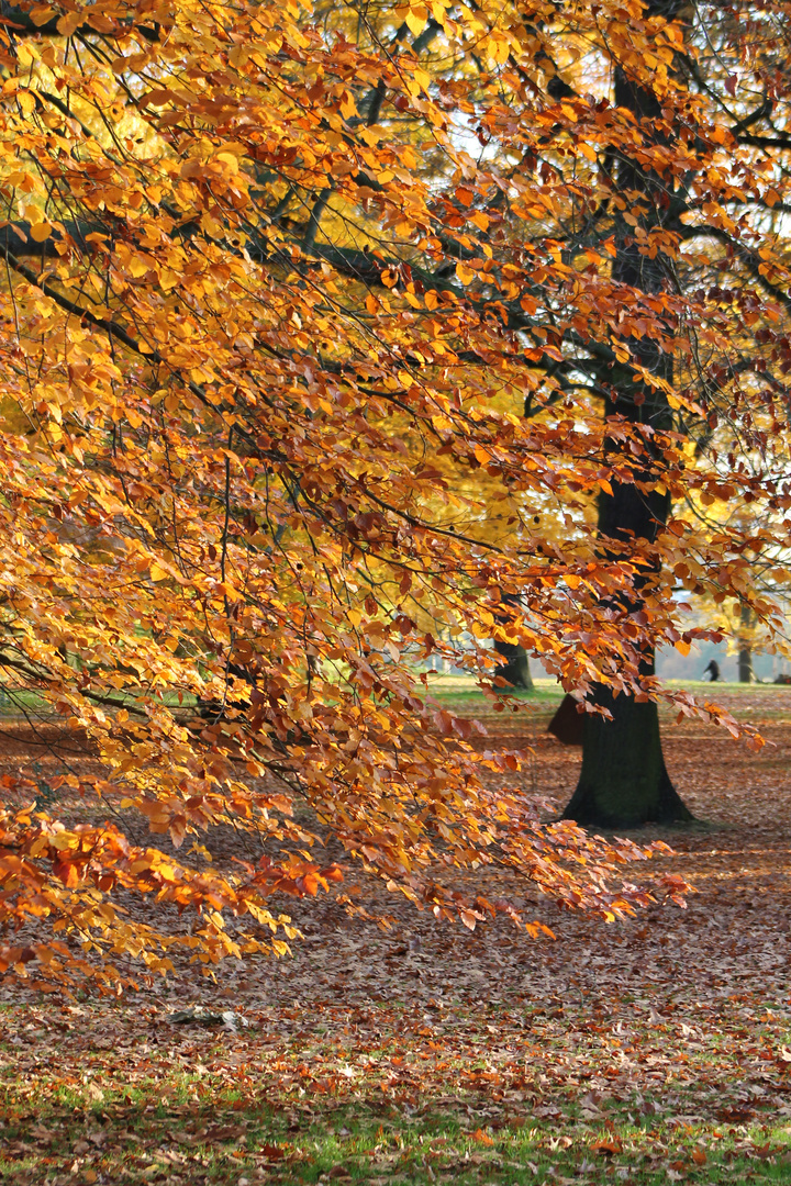 Schöner Herbsttag