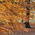 Schöner Herbsttag