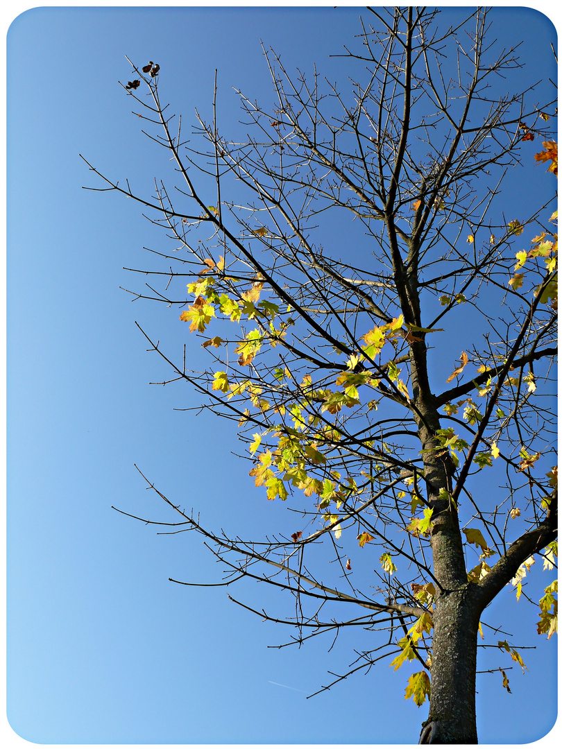 schöner Herbsttag :)