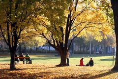 Schöner Herbsttag