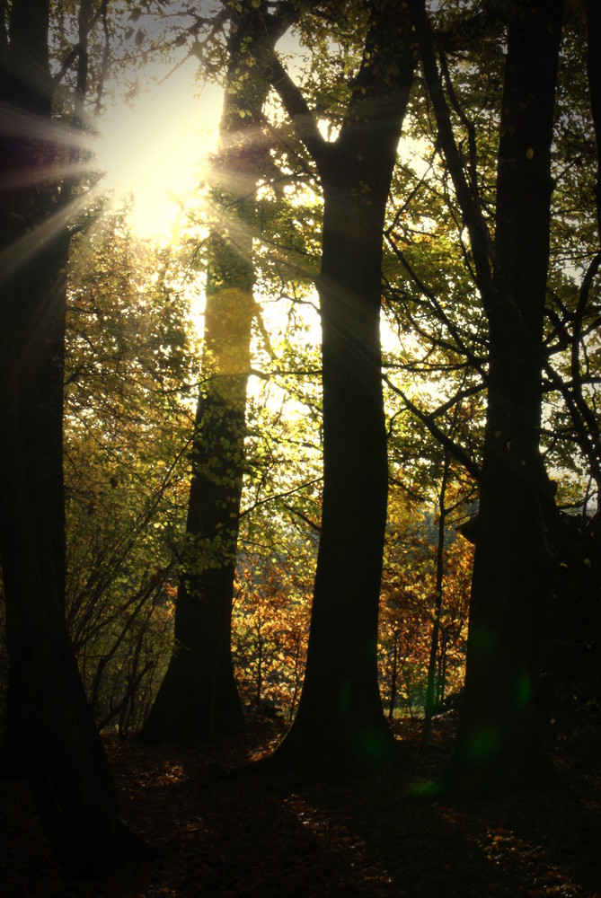 schöner Herbsttag