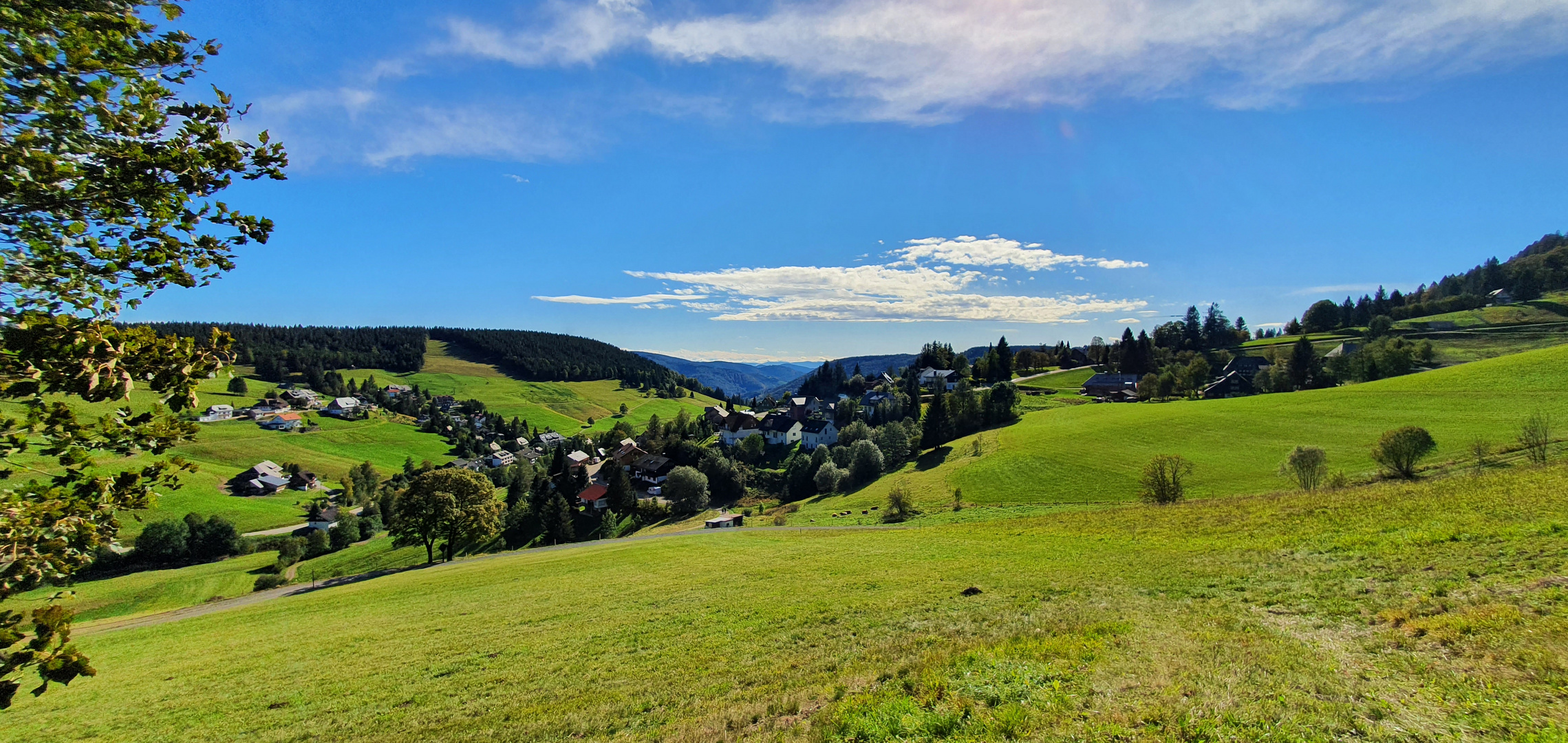 schöner Herbsttag in Todtnauberg 