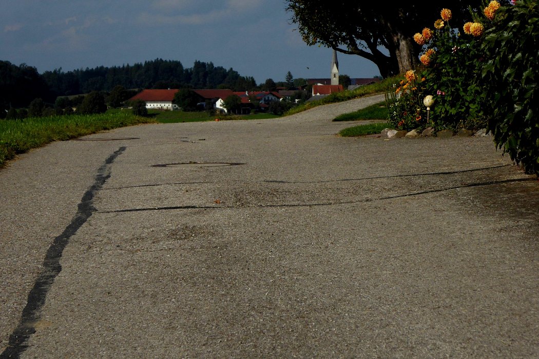 Schöner im Land mit Blomen