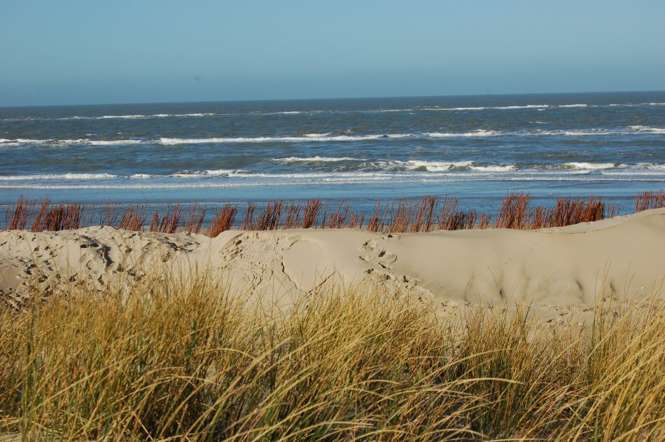 Schöner Januar Tag am Strand