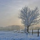 Schöner kalter Westerwald...