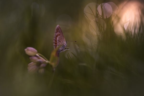 Schöner kann doch ein Tag nicht beginnen............