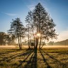 Schöner kann ein Morgen nicht beginnen..