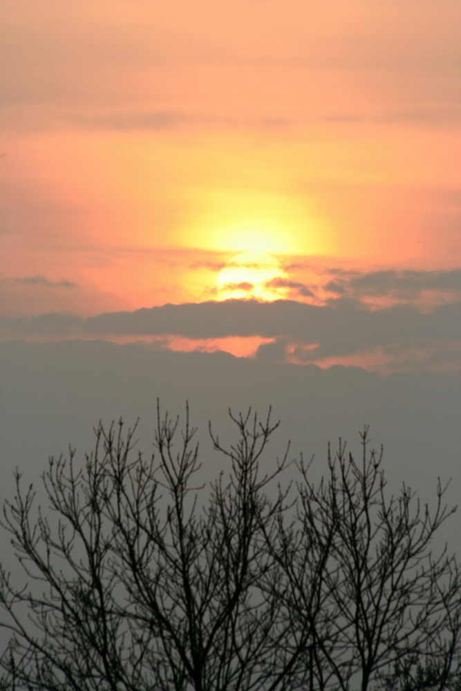 Schöner kann es im Himmel nicht sein