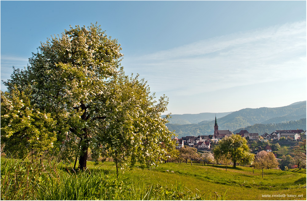 schöner kann Frühling nicht sein.